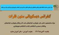 کنفرانس دیسکوپاتی ستون فقرات