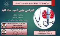 کنفرانس علمی آسیب حاد کلیه